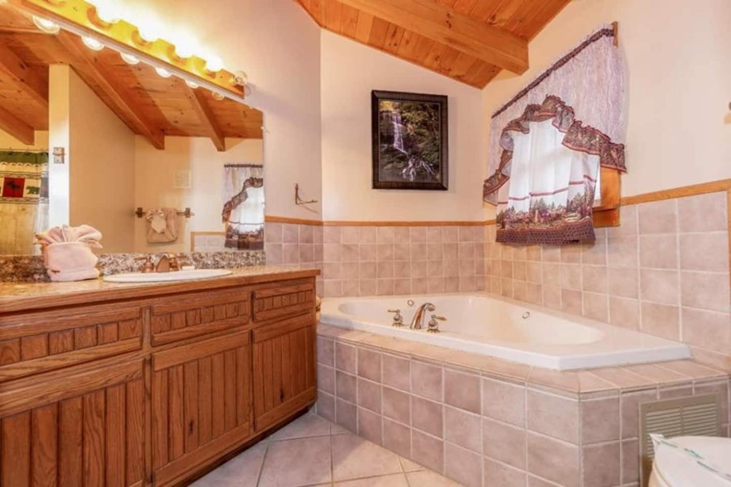 Pigeonforge Cabin Game Roomdog Friendlyhot Tub Pigeon Forge Kültér fotó